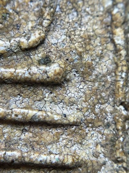 พระสมเด็จวัดระฆังพิมพ์เส้นด้ายเนื้อหาเก่าสวยสมอายุพระเห็นมวลสารชัดเจน รูปที่ 11