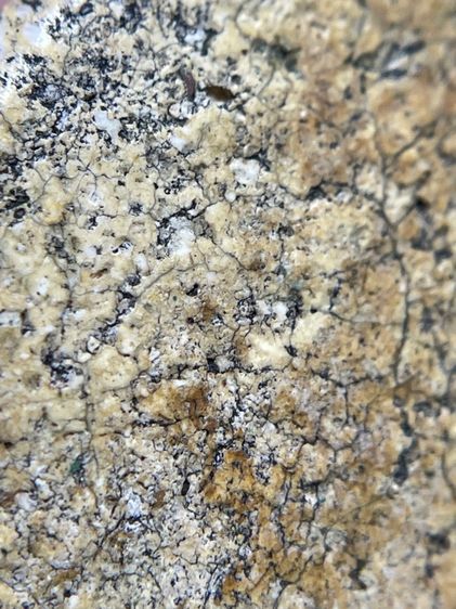 พระสมเด็จวัดระฆังพิมพ์เส้นด้ายเนื้อหาเก่าสวยสมอายุพระเห็นมวลสารชัดเจน รูปที่ 7