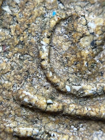 พระสมเด็จวัดระฆังพิมพ์เส้นด้ายเนื้อหาเก่าสวยสมอายุพระเห็นมวลสารชัดเจน รูปที่ 12