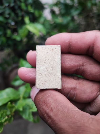 พระสมเด็จหลวงปู่ภู รูปที่ 2