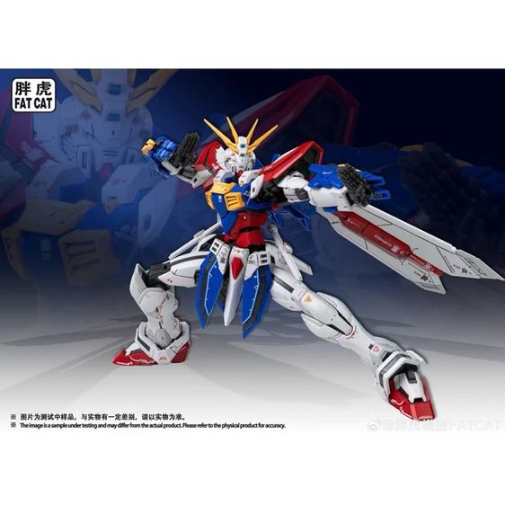 Mg God Gundam Ver RG (Fat Cat) 