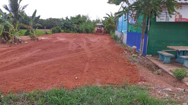 ขายหรือแลกเปลี่ยน ที่ดินทำเลธุรกิจ 45 ตรว.ติดถนนสายมโนราห์ต.ตำนาน อ.เมืองพัทลุง รูปที่ 3