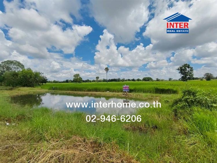 ที่ดินเปล่า 5 ไร่ 72 ตร.ว. ที่ดิน หมู่บ้านสำโรง อำเภอเมืองบุรีรัมย์ ใกล้มานาคาเฟ่บุรีรัมย์ ถนนหมายเลข226 ถนนหมายเลขบร.3021 เมืองบุรีรัมย์ รูปที่ 4