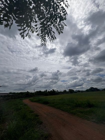 ที่ดิน 6ไร แก่งคอย สระบุรี ทำคาเฟ่ ปลูกบ้าน รูปที่ 4