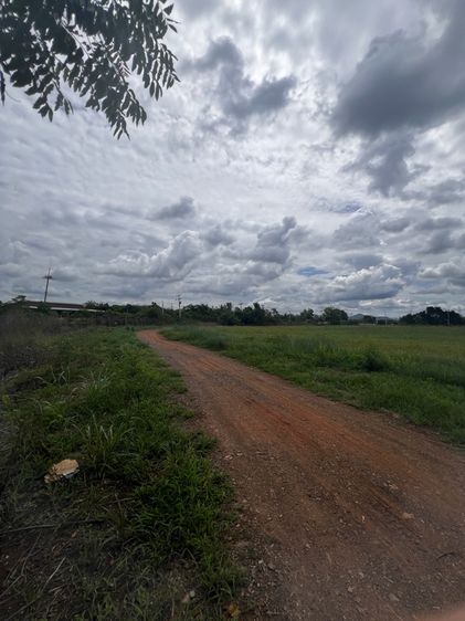 ที่ดิน 6ไร แก่งคอย สระบุรี ทำคาเฟ่ ปลูกบ้าน รูปที่ 3