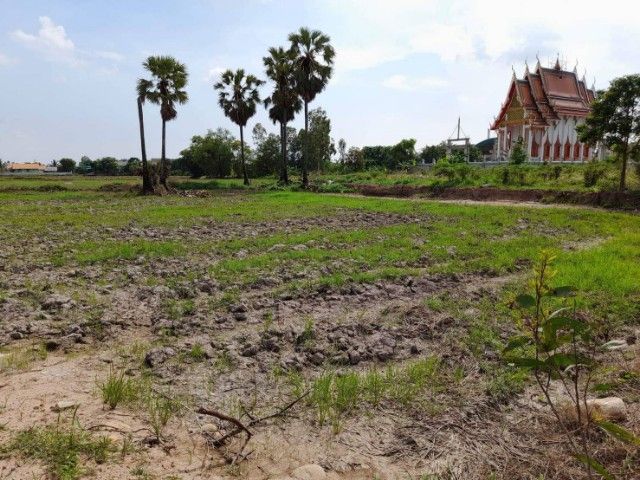 ใช่ ขายที่ดินในชุมชนติดรพสต. รูปที่ 3