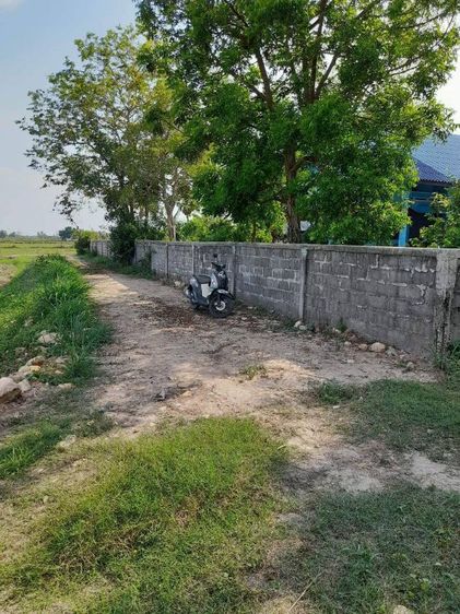 ใช่ ขายที่ดินในชุมชนติดรพสต. รูปที่ 4