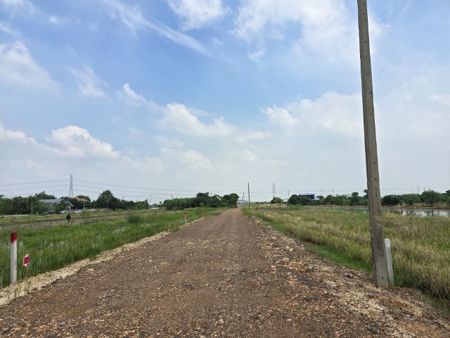 ไม่ใช่ ขายที่ดินไทรน้อย รูปที่ 4