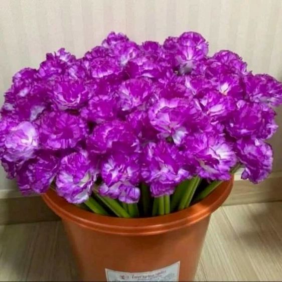 ไม้ผ้าป่าไม้กฐินงานสั่งทำ​7-10 วันขึ้นแยู่กับจำนวน รูปที่ 5