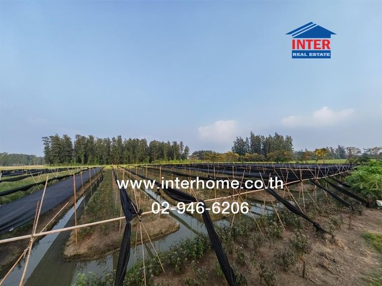 ที่ดินเปล่า 1 ไร่ 238 ตร.ว. ที่ดิน ถนนบรมราชชนนี ใกล้ The First apartment ถนนบรมราชชนนี ถนนทางหลวง3004 พุทธมณฑล นครปฐม รูปที่ 4