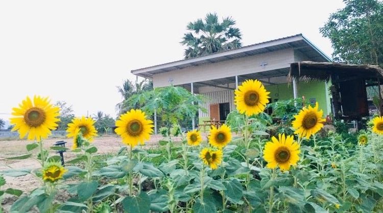 บ้าน-อาคาร-ร้านให้เช่า พื้นที่กว้างขวาง 350ตรว.(1400ตรม.) 1โถง1นอน1ครัว2ห้องน้ำ ลานจอดรถ+พื้นที่สวนโล่งกว้างมาก ไฟฟ้า-ประปา สาธารณูปโภคพร้อม