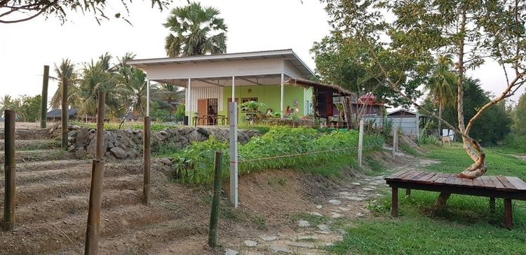 บ้าน-อาคาร-ร้านให้เช่า พื้นที่กว้างขวาง 350ตรว.(1400ตรม.) 1โถง1นอน1ครัว2ห้องน้ำ ลานจอดรถ+พื้นที่สวนโล่งกว้างมาก ไฟฟ้า-ประปา สาธารณูปโภคพร้อม รูปที่ 4