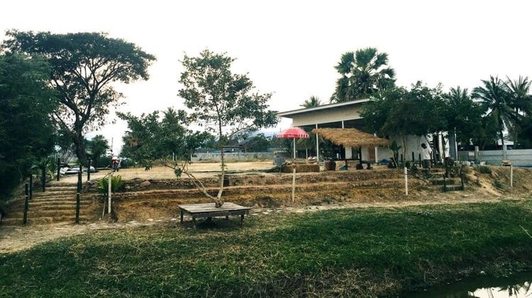 บ้าน-อาคาร-ร้านให้เช่า พื้นที่กว้างขวาง 350ตรว.(1400ตรม.) 1โถง1นอน1ครัว2ห้องน้ำ ลานจอดรถ+พื้นที่สวนโล่งกว้างมาก ไฟฟ้า-ประปา สาธารณูปโภคพร้อม รูปที่ 3