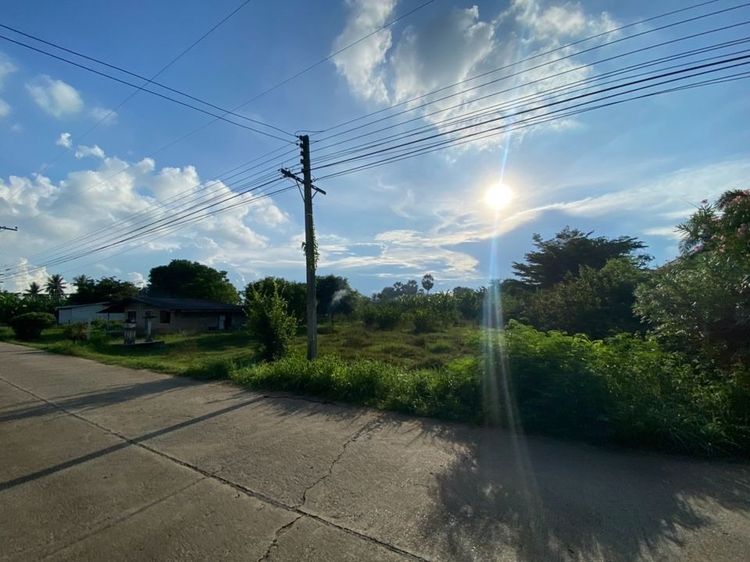 ที่ดินสวย แบ่งขาย1ไร่ พร้อมสร้างบ้านไม่ต้องถม ในชุมชน บรรยากาศดีอุดมสมบูรณ์ ติดถนน+ไฟฟ้า+ประปาครบ ใกล้แก่งกระจานเพียง 15กม. รูปที่ 3