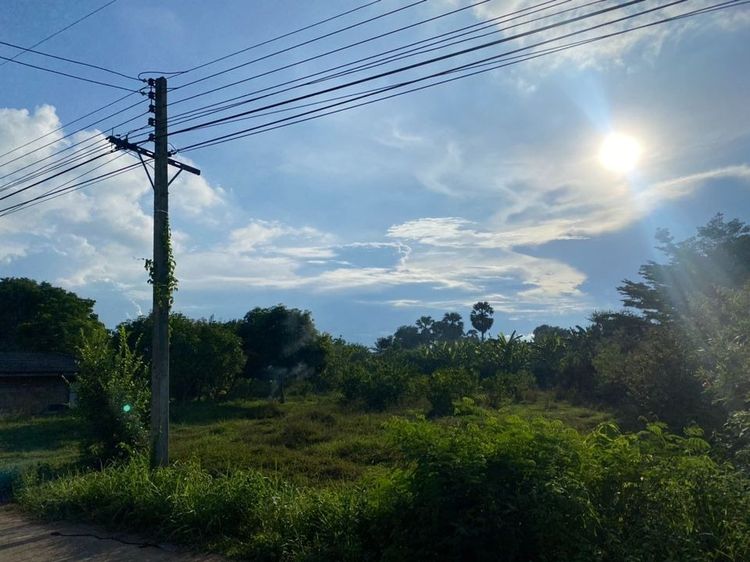 ที่ดินสวย แบ่งขาย1ไร่ พร้อมสร้างบ้านไม่ต้องถม ในชุมชน บรรยากาศดีอุดมสมบูรณ์ ติดถนน+ไฟฟ้า+ประปาครบ ใกล้แก่งกระจานเพียง 15กม. รูปที่ 4