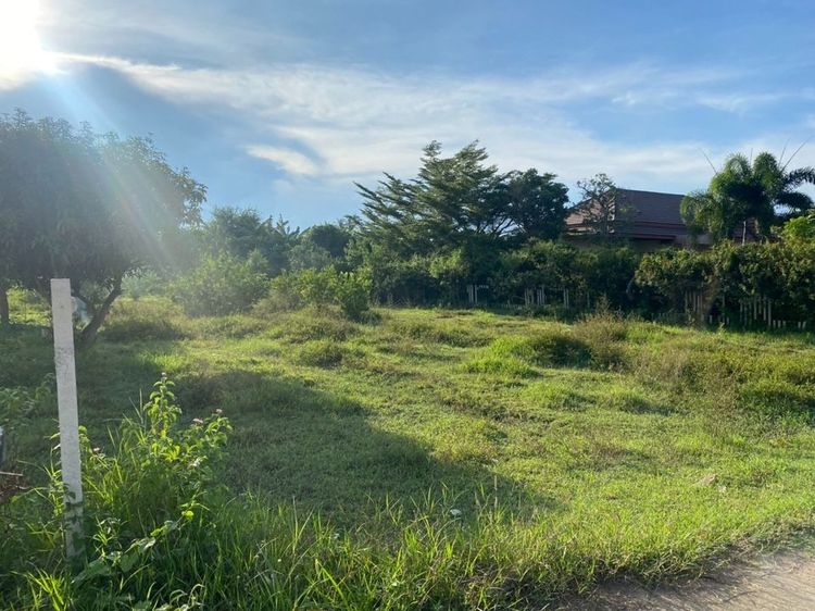 ที่ดินสวย แบ่งขาย1ไร่ พร้อมสร้างบ้านไม่ต้องถม ในชุมชน บรรยากาศดีอุดมสมบูรณ์ ติดถนน+ไฟฟ้า+ประปาครบ ใกล้แก่งกระจานเพียง 15กม. รูปที่ 2