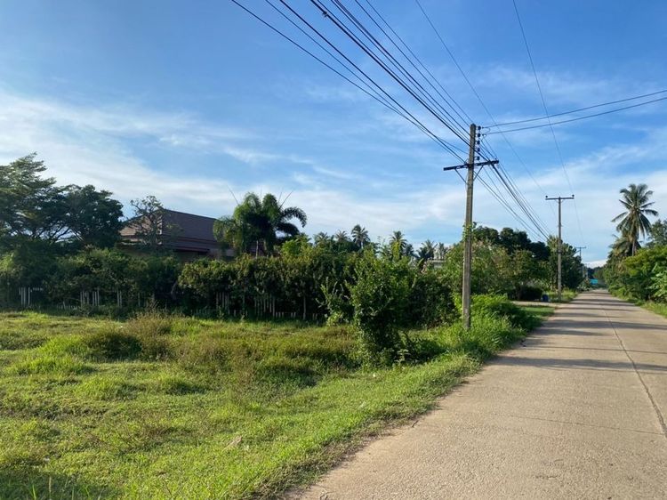 ที่ดินสวย แบ่งขาย1ไร่ พร้อมสร้างบ้านไม่ต้องถม ในชุมชน บรรยากาศดีอุดมสมบูรณ์ ติดถนน+ไฟฟ้า+ประปาครบ ใกล้แก่งกระจานเพียง 15กม.