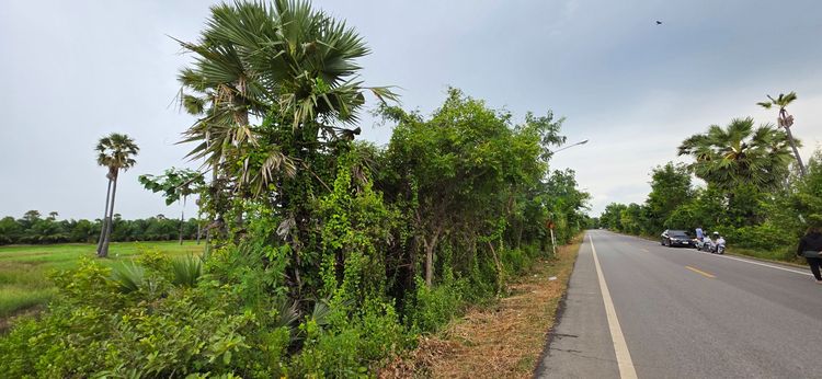 🎯ที่ดินสวยพร้อมโอน💰ทำเลทองเหมาะสร้างบ้าน+ทำธุรกิจฯ👑ราคาถูก3แสน++🌟ดาวน์💵ผ่อนตรงกับเจ้าของได้🎖400ตรม.+ถมสูง🏡เข้าเมือง-ถ.เพชรเกษม5นาที🚙 รูปที่ 4