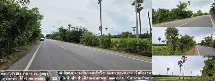 🎯ที่ดินสวยพร้อมโอน💰ทำเลทองเหมาะสร้างบ้าน+ทำธุรกิจฯ👑ราคาถูก3แสน++🌟ดาวน์💵ผ่อนตรงกับเจ้าของได้🎖400ตรม.+ถมสูง🏡เข้าเมือง-ถ.เพชรเกษม5นาที🚙