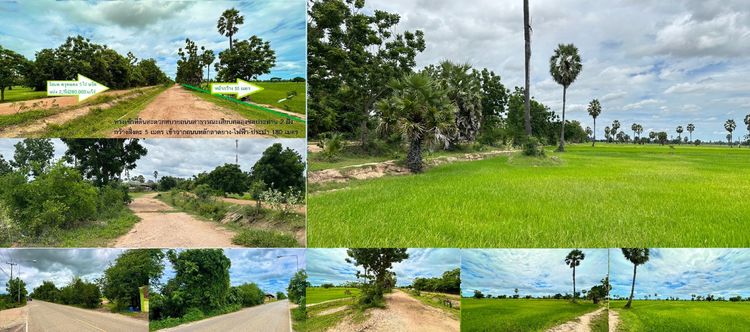 ที่ดินสวยไร่ละ2แสน8หมื่น มี5ไร่(หน้ากว้าง55ม.แบ่ง2-3ไร่ได้) ในชุมชนวิวงามอากาศดีภูเขาทุ่งนาป่าตาล ติดถนนเลียบคลองชล ใกล้ลาดยางไฟฟ้าประปา180ม