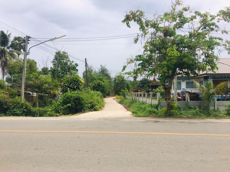 🎯ที่ดินเหมาะสร้างบ้าน เนื้อที่เกือบ300ตร.ม. ใกล้เมือง10นาที ในเขตอ.บ้านลาด เพชรบุรี🏡ถมนานแน่นเสมอถนน ไฟฟ้า-ประปา-สาธารณูปโภคพร้อมสรรพ รูปที่ 2