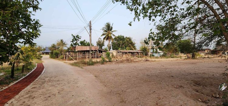 🎯ที่ดินเหมาะสร้างบ้าน เนื้อที่เกือบ300ตร.ม. ใกล้เมือง10นาที ในเขตอ.บ้านลาด เพชรบุรี🏡ถมนานแน่นเสมอถนน ไฟฟ้า-ประปา-สาธารณูปโภคพร้อมสรรพ รูปที่ 4