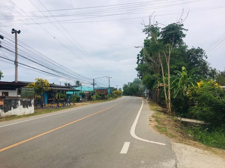🎯ที่ดินเหมาะสร้างบ้าน เนื้อที่เกือบ300ตร.ม. ใกล้เมือง10นาที ในเขตอ.บ้านลาด เพชรบุรี🏡ถมนานแน่นเสมอถนน ไฟฟ้า-ประปา-สาธารณูปโภคพร้อมสรรพ รูปที่ 3