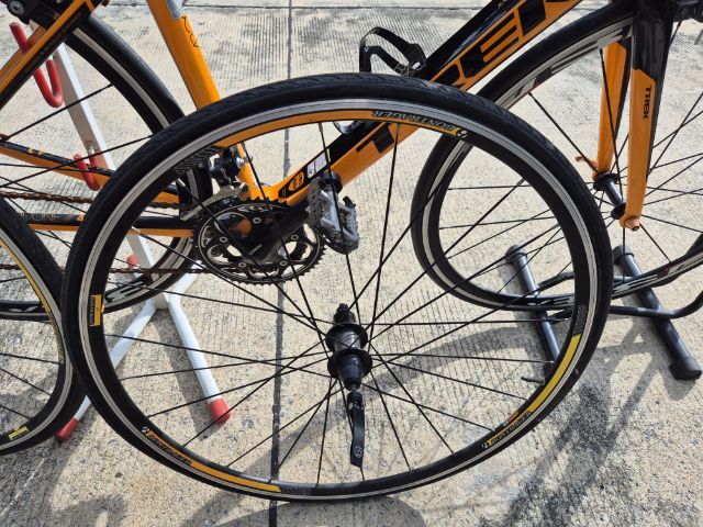 จักรยาน trek road bike รุ่น madone 4.3c รูปที่ 15