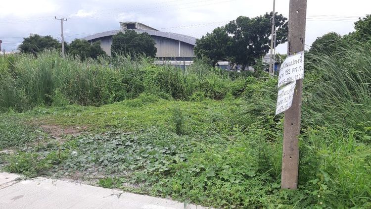 ขายที่ดินถนนเทพารักษ์ ซอยกู้พาราใต้ ตรงข้ามเลอทาน่า