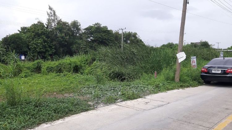 ขายที่ดินถนนเทพารักษ์ ซอยกู้พาราใต้ ตรงข้ามเลอทาน่า รูปที่ 2