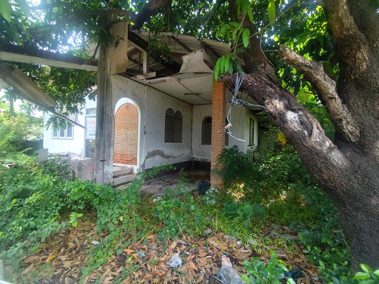 ขายที่ดินพร้อมสิ่งปลูกสร้าง 100 ตร.วา – ซอยห้วยกะปิ 14 เมืองชลบุรี ที่ดินสวย คุ้มค่า ทำเลดี เดินทางสะดวก เข้า-ออกได้หลายเส้นทาง รูปที่ 3