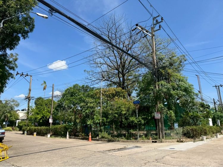 ไม่ใช่ ขายที่ดินเสนานิคม 28 ศักยภาพสูง เหมาะพัฒนาโครงการบ้านพักอาศัย รูปที่ 3