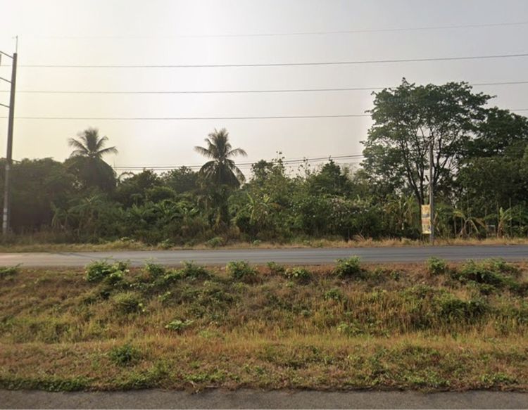 ไม่ใช่ ขายที่ดินทำเลทอง 2 ไร่ พร้อมต้นสัก พยูง ผักหวาน 300 ต้น  รูปที่ 2