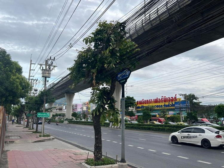 ขายที่ดิน 4-1-50 ไร่ ถมแล้ว ซอยเพชรเกษม 78 ใกล้ MRT หลักสอง