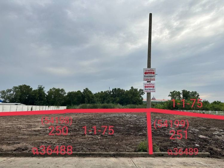 ขายที่ดินเปล่าถมแล้วพร้อมโฉนด 2 แปลงติดกันขนาดแปลงละ 575 ตรว. ติดคลอง ใกล้ถนนใหญ่ ทำเลทอง “เวิลด์คลับแลนด์” คลองสาม ปทุมธานี  รูปที่ 2