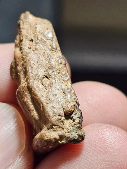 พระนางพญาพิมพ์สังฆาติ รูปที่ 10