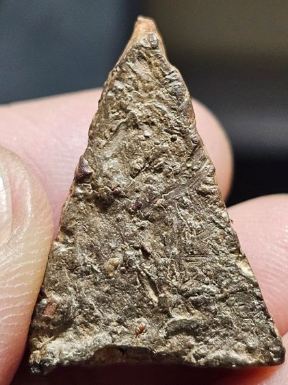 พระนางพญาพิมพ์สังฆาติ รูปที่ 9