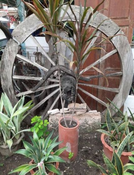 ล้อเกวียน รับเอง