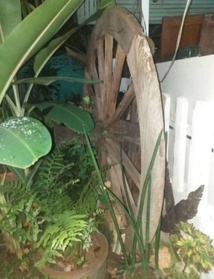 ล้อเกวียน รับเอง รูปที่ 2