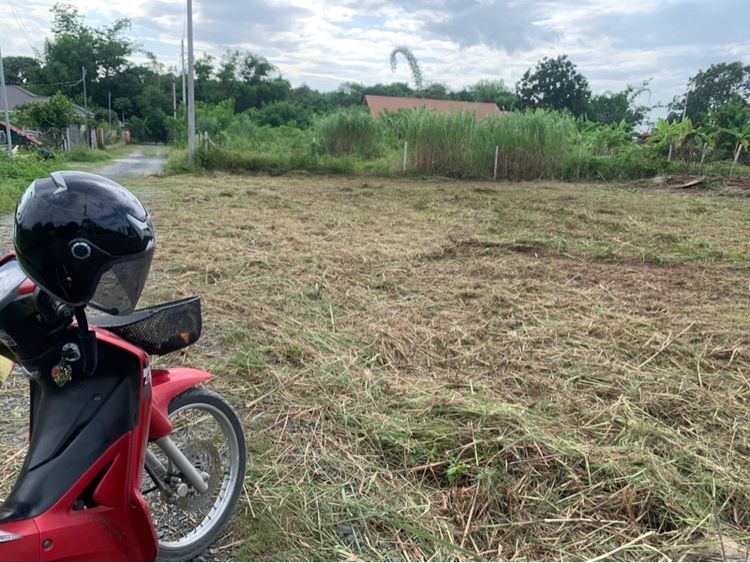 ไม่ใช่ ที่ดิน 120 ตรว ถมแล้ว รูปที่ 3