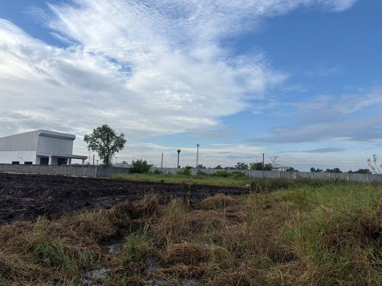 ขายที่ดินถมแล้ว 2 แปลงติดกัน พร้อมโฉนด คลอง 5 ธัญบุรี 2 งาน 80 ตรว. เข้าออกได้ 2 ทาง ใกล้มอเตอร์เวย์ ฟรีโอน รูปที่ 3