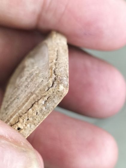 สมเด็จวัดระฆังพิมพ์ใหญ่เนื้อสวยหนึบนุ่มมีมวลสารเก่าๆ รูปที่ 8