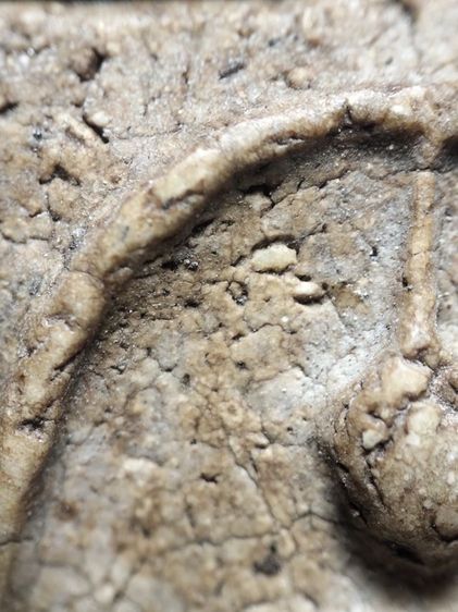 พระสมเด็จเนื้อสวยครับ รูปที่ 6