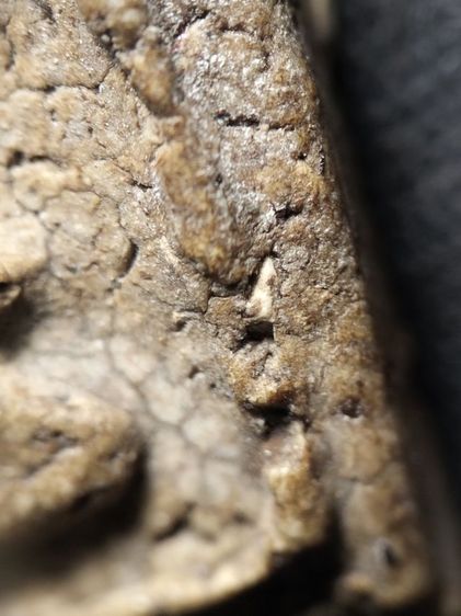 พระสมเด็จเนื้อสวยครับ รูปที่ 18