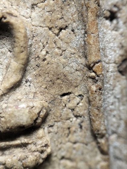 พระสมเด็จเนื้อสวยครับ รูปที่ 12