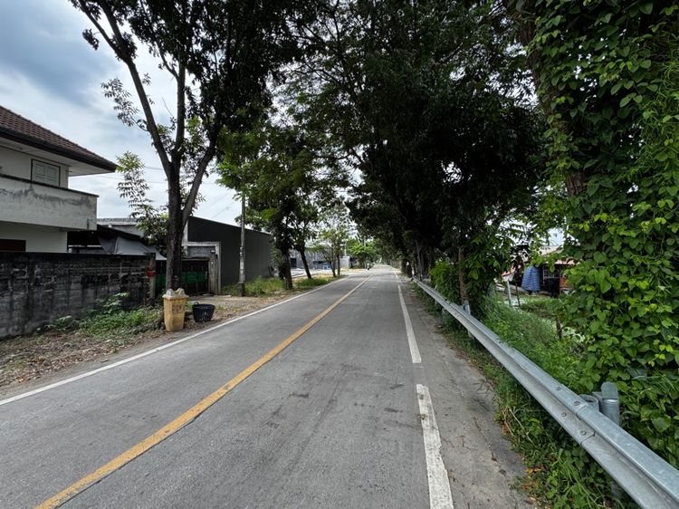 ไม่ใช่ ขายที่ดิน พุทธมณฑลสาย3 รูปที่ 4