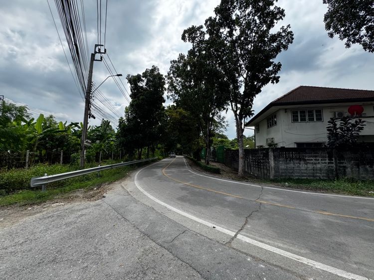 ไม่ใช่ ขายที่ดิน พุทธมณฑลสาย3 รูปที่ 3