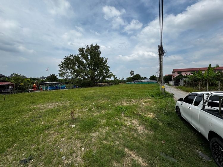 ไม่ใช่ ขายที่ดิน พุทธมณฑลสาย3 รูปที่ 2