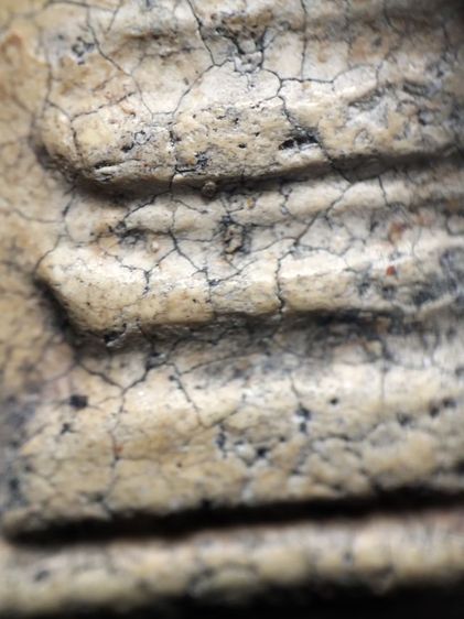 ❌ปิดครับ❌พระสมเด็จงามๆครับ รูปที่ 14