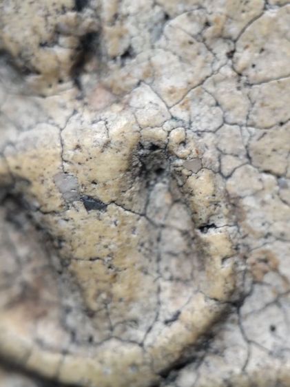 ❌ปิดครับ❌พระสมเด็จงามๆครับ รูปที่ 15